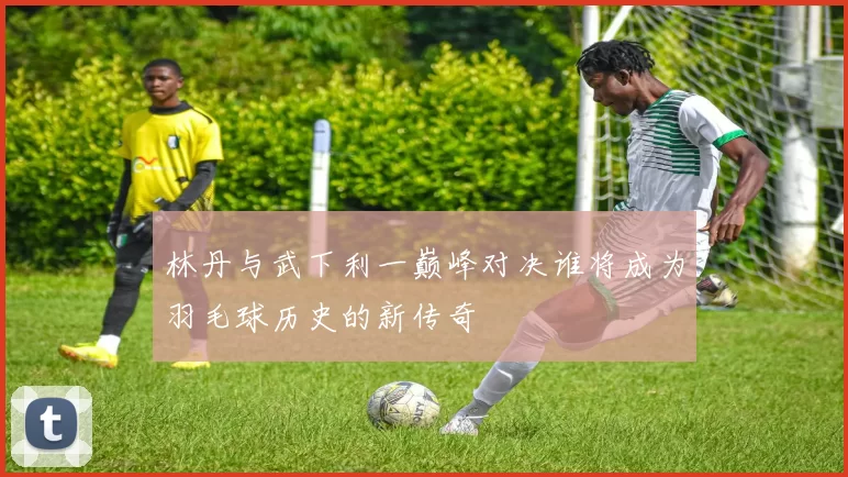 林丹与武下利一巅峰对决谁将成为羽毛球历史的新传奇