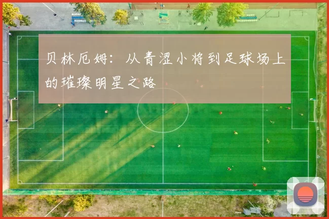 贝林厄姆：从青涩小将到足球场上的璀璨明星之路